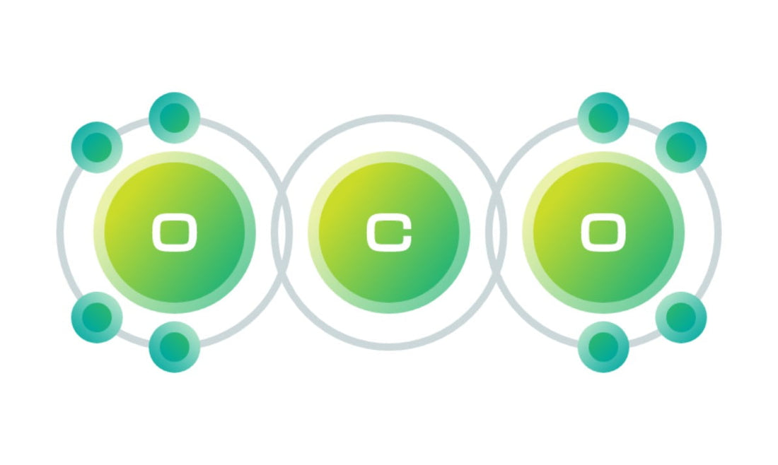 What is Carbon Sequestration?